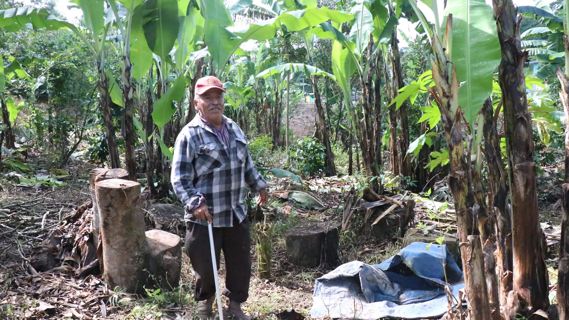 Casi 2 metros bajo el agua estuvo la colonia Las Cruces en Xalapa